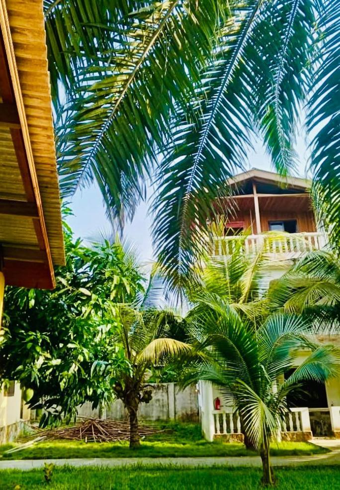 Serenity Haven Lodge Busua Ngoại thất bức ảnh