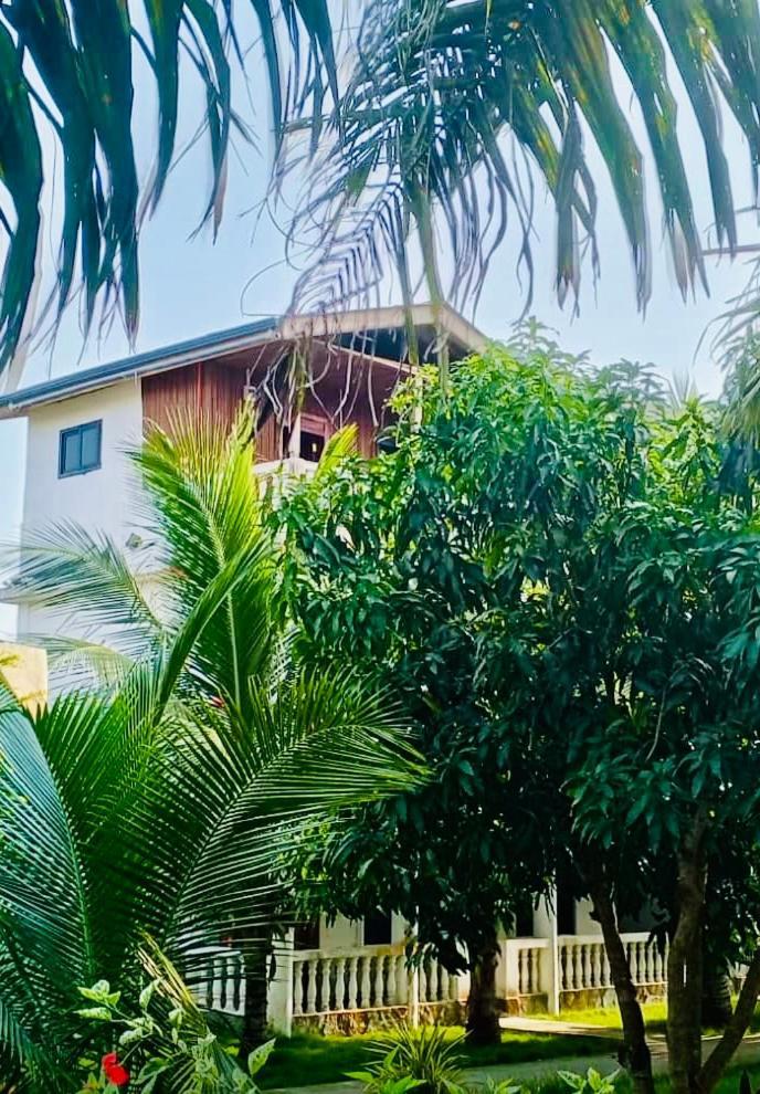 Serenity Haven Lodge Busua Ngoại thất bức ảnh