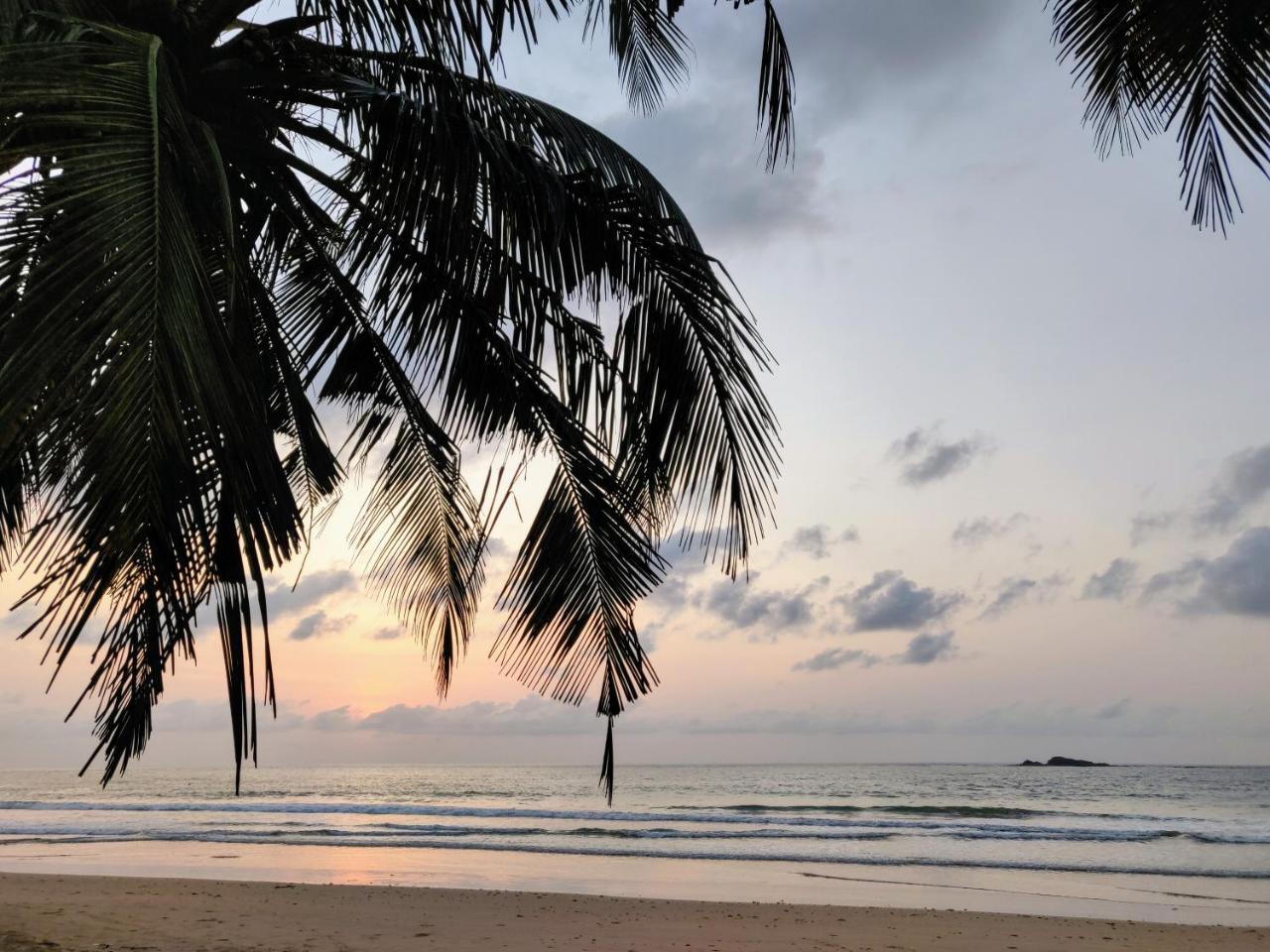 Serenity Haven Lodge Busua Ngoại thất bức ảnh